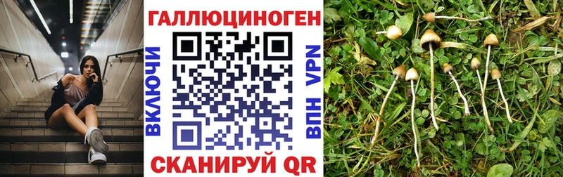 Псилоцибиновые грибы ЛСД  где можно купить наркотик  Калининец 